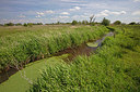 BUITEN BEELD Foto: 358179