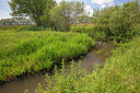 BUITEN BEELD Foto: 358181