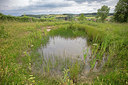 BUITEN BEELD Foto: 358208