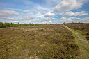 BUITEN BEELD Foto: 358217