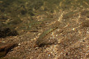 BUITEN BEELD Foto: 358276
