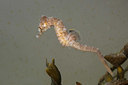 BUITEN BEELD Foto: 358284
