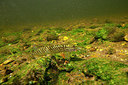 BUITEN BEELD Foto: 358293