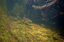 BUITEN BEELD Foto: 358297