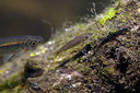 BUITEN BEELD Foto: 358300