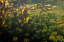 BUITEN BEELD Foto: 358301