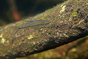 BUITEN BEELD Foto: 358303