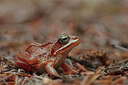 BUITEN BEELD Foto: 358308