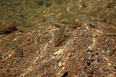 BUITEN BEELD Foto: 358324