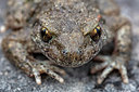 BUITEN BEELD Foto: 358326