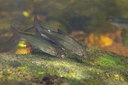 BUITEN BEELD Foto: 358333