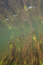 BUITEN BEELD Foto: 358339