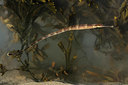 BUITEN BEELD Foto: 358344