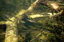 BUITEN BEELD Foto: 358345