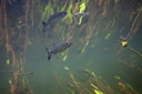 BUITEN BEELD Foto: 358355