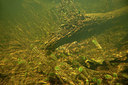 BUITEN BEELD Foto: 358360