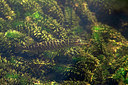BUITEN BEELD Foto: 358361