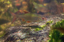 BUITEN BEELD Foto: 358362