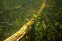 BUITEN BEELD Foto: 358365