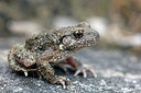 BUITEN BEELD Foto: 358367