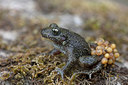 BUITEN BEELD Foto: 358374