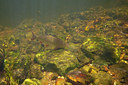 BUITEN BEELD Foto: 358389