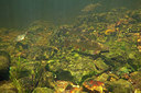BUITEN BEELD Foto: 358425