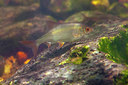 BUITEN BEELD Foto: 358427