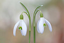 BUITEN BEELD Foto: 358465