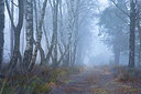 BUITEN BEELD Foto: 358495