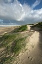 BUITEN BEELD Foto: 358532