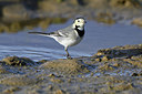 BUITEN BEELD Foto: 358569