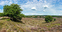 BUITEN BEELD Foto: 358611