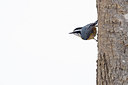 BUITEN BEELD Foto: 358732