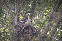 BUITEN BEELD Foto: 358757