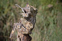 BUITEN BEELD Foto: 358767