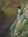 BUITEN BEELD Foto: 35023