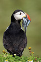 BUITEN BEELD Foto: 35048