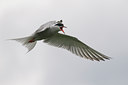 BUITEN BEELD Foto: 35057