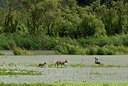 BUITEN BEELD Foto: 35078