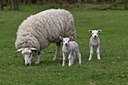 BUITEN BEELD Foto: 35132