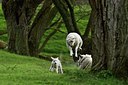 BUITEN BEELD Foto: 35135