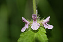 BUITEN BEELD Foto: 35177