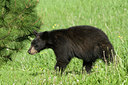 BUITEN BEELD Foto: 35182