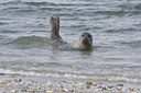 BUITEN BEELD Foto: 35191