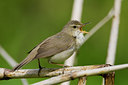 BUITEN BEELD Foto: 35204