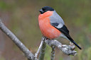 BUITEN BEELD Foto: 35221