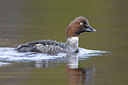 BUITEN BEELD Foto: 35227