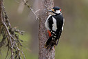 BUITEN BEELD Foto: 35240