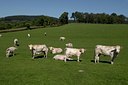 BUITEN BEELD Foto: 35258